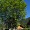DSC01251.jpg